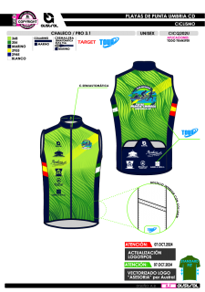 Chaleco PRO 3.1 - Verde 2