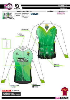 Maillot ML PRO 3.1 - Verde 2