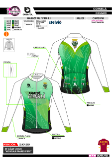 Maillot ML PRO 3.1 - Verde 2