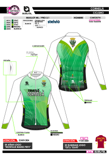 Maillot ML PRO 3.1 - Verde 2