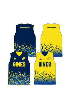 Camisa Reversible PRO 1.1 -...