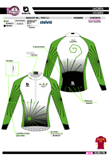 Maillot ML PRO 3.1 - Verde 2
