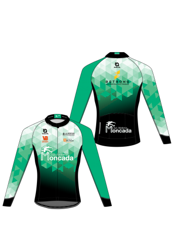 Maillot ML PRO 3.1 - Verde