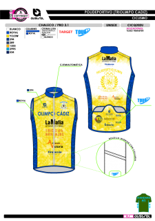 Chaleco PRO 3.1 - Amarillo 2