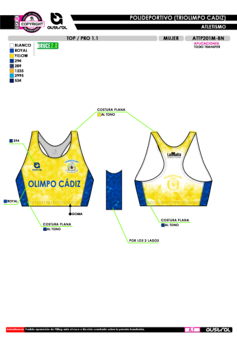 Top PRO 1.1 - Amarillo